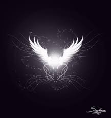 white angel wings wallpapers top free
