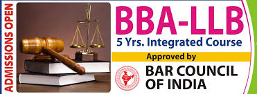 Image result for BBA_LLB VIPS delhi