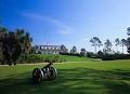 Home - Calusa Pines Golf Club
