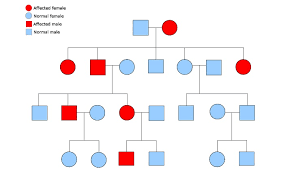 Fill in the table below based in the information in figure b. Pedigree Definition Function And Examples Biology Dictionary