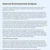 Singapore Business Environmental Analysis