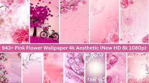 pink flower wallpaper 4k aesthetic new
