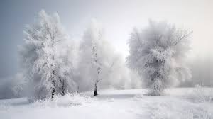 winter landscape images free background