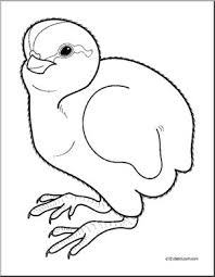 Coloring pages for children manna, quail and water. Clip Art Baby Animals Quail Cheeper Coloring Page I Abcteach Com Abcteach