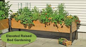 elevated raised bed gardening the