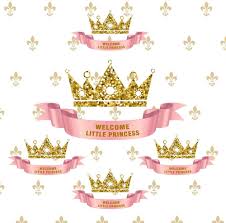 5x5ft pink royal princess baby