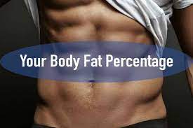 how much body fat do i have my t
