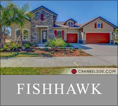 fishhawk real estate fishhawk homes