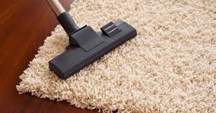 carpet cleaning by professionals in