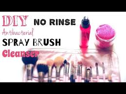 diy brush spray cleanser no rinse