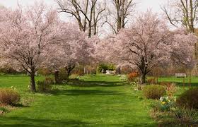 10 ways to love spring in new jersey