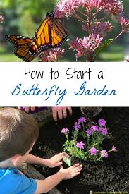 How To Start A Erfly Garden