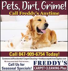 contact us freddy s carpet cleaning plus
