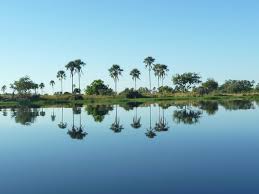 Walking Chief's Island, Okavango Delta, Botswana - Africa Geographic