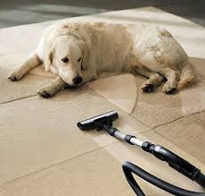 cleaning carpet cleaning san jose