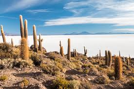 Where do bolivia salt flat tours start? Bolivia How To Plan A Visit Uyuni Salt Flats E T Abroad