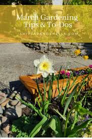 March Gardening Tips And To Dos For The