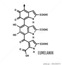 eumelanin chemical molecule structure