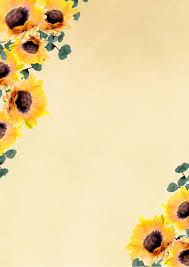 sunflower wallpaper with a yellow