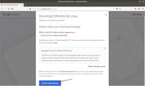 Con google chrome en tu pc tendrás el navegador más rápido y con mejor rendimiento para explorar internet y todos sus contenidos de manera segura y privada. Google Chrome 2 Ways To Install It On Ubuntu 18 04 Lts Ubunlog