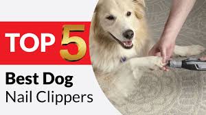top 5 best dog nail clippers review you