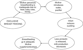 Model Of The De Breastfeeding Process Perception As A Self