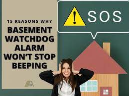 15 Reasons Why Basement Watchdog Alarm