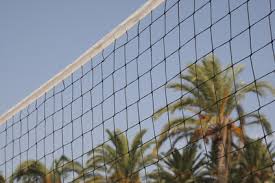 homemade volleyball poles healthfully