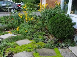 Want A Low Maintenance Garden This Year