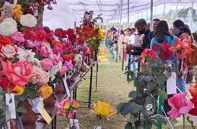 the rose festival chandigarh