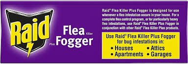 raid flea plus fogger room