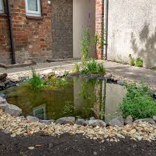 How To Build A Wildlife Pond Wwt