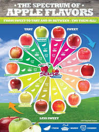 A Guide To Apples Coolguides