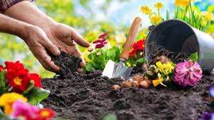 How Gardening Can Help You Flourish