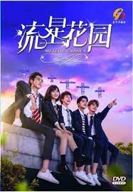 chinese drama dvd meteor garden 流星花
