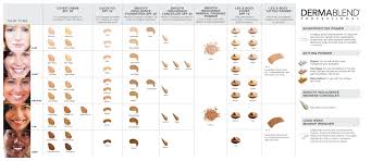 Dermablend Cosmetics Shade And Match Master Chart Hair