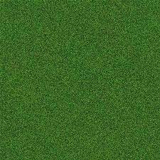 green carpet at rs 12 square feet