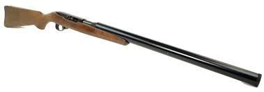 integrally suppressed ruger 10 22