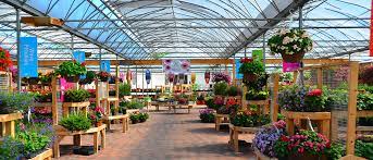 the 5 best garden centres to visit in