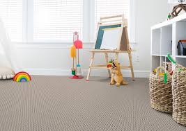 carpet flooring columbus ohio budget