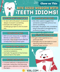 33 teeth idioms in english common