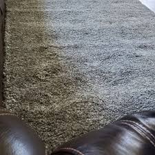 top 10 best rugs near highland park il