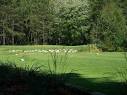 Huron Breeze Golf Club - Reviews & Course Info | GolfNow