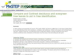 Compare And Contrast Deciduous And Evergreen Tree Leaves To