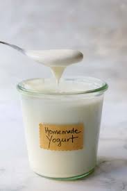 homemade yogurt feasting at home