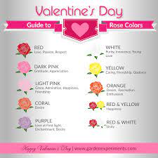 a guide to rose color meanings