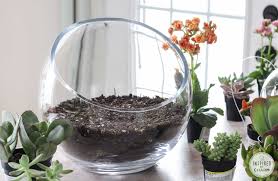 Succulent Garden Bowl