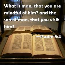 Image result for Psalm 8:4