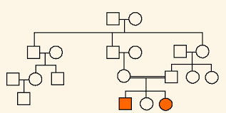 Study the pedigree for hemophilia shown in figure a. 2