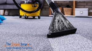 best carpet cleaning companies gold